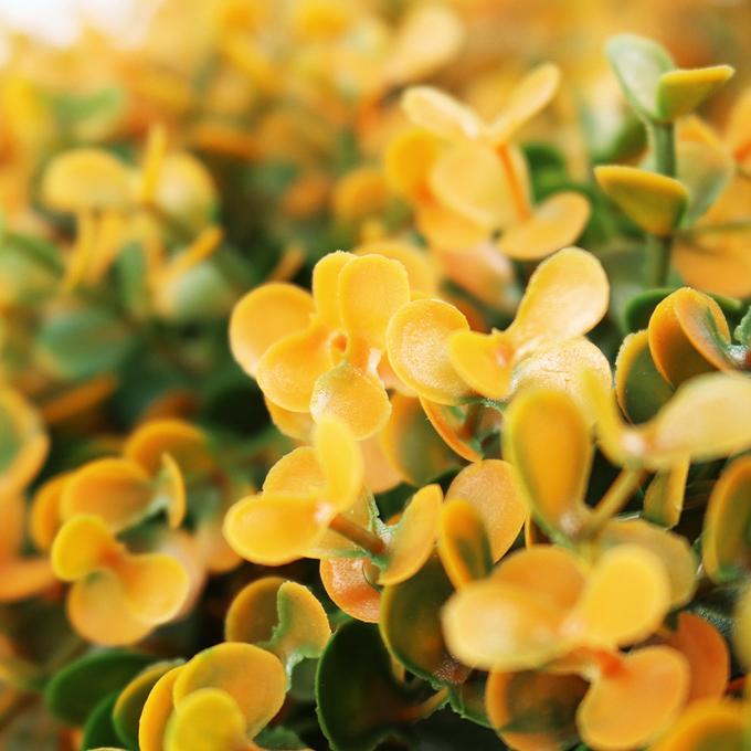 ユーカリは人工絹のプラスチック緑の草木の掛かるツルの花輪を去る